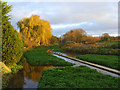 Watercress beds, Ewelme Brook, Ewelme