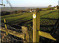 Old stile and fence