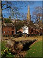 Felled tree, St Bartholomew