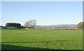 Cambing Cricket Club - Westfield Lane, Idle