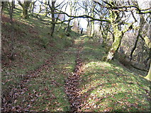 SH5246 : The old quarry track by David Medcalf