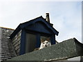 Cat in Gardenstown