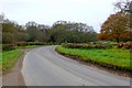 Road through Higher Row, Dorset 