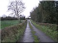 H2232 : Lane at Drumbinnis by Kenneth  Allen