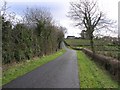 H1636 : Road at Lisblake by Kenneth  Allen