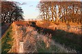 Railway Bridge at Orchardton