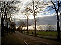 Town Moor Avenue Doncaster