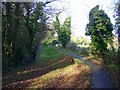 Footpath towards Steeple Langford