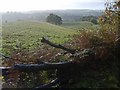 Wordsley Path View