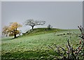 A Frosty Day From Stalloe Cottages