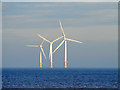 TF5763 : Wind farm in the Wash by John Lucas