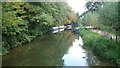 River Wey Navigation