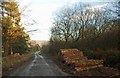 Forestry operations near Low Bradfield