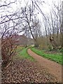 Path from Springfield Park to Chester Road