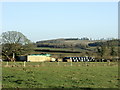 2008 : Pasture near Lowerfield Farm