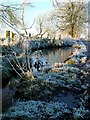 Duckpond at Nether Lethame farm