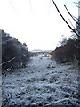 Powerlines near Brathens