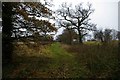 Bridle Path to Folkes Lane