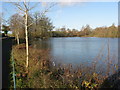 J0102 : Stephenstown Pond, Knockbridge, Co. Louth by Kieran Campbell