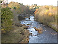 The Avon Water (near  Chatelherault)