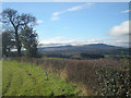 Beside the lane near Bagginswood