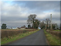 A lane to Bagginswood