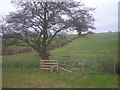 Footpath & stile near Detton Hall