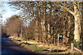 Path to Dalgety Wood, Brechin