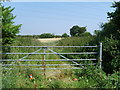 Northway Field Gate