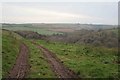 Tractor Tracks in the Mud