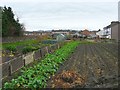 Allotments off Gote Road