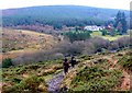 Laughter Hole House, Dartmoor