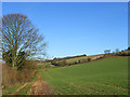 Farmland, Hughenden