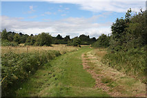 SO3829 : Path on Ewyas Harold Common by Hugh Venables