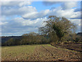 Farmland, Naphill