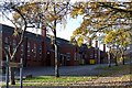 Clinical Immunology and Allergy Unit, Northern General Hospital, Sheffield