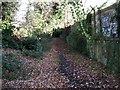 Foot path from the Uxbridge Road leading to the West Middlesex golf course