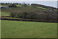 Fields near Pistyll Gwyn