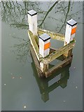SU7575 : Structure in the Thames, Sonning Bridge by Andrew Smith