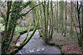 The view from the bridge downstream