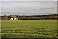 Thatched barn at Godolphin Stables