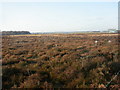 Bournemouth Airport runway