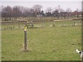 Footpath junction in field