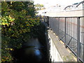 The River Ravensbourne near Elverson Road DLR station (3)