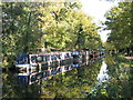 Narrowboats and houseboats on the Basingstoke Canal (2)