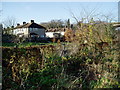 Blackmore & Brentvale allotments