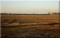 Farmland on Toll Bar Road