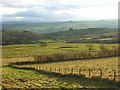 Pastures at High Shield