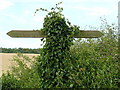 SK6546 : Overgrown signpost near Lowdham by Andy Jamieson