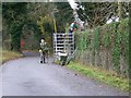 Hedge cutting, Upton